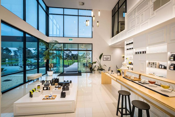 Private tour from Auckland - Waitomo Glowworm Caves, Zealong Tea & Kiwi Bird - Zealong Tea Estate: organic tea tasting with a local NZ twist