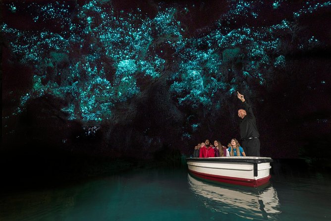 Private tour from Auckland - Waitomo Glowworm Caves, Zealong Tea & Kiwi Bird - What you’re paying $619.95 per person for