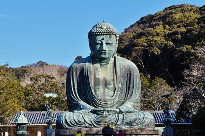 Private Tour in Kamakura: Matcha Tea Tasting & Photo Session - What you get for $98.71 per person (and where your money goes)
