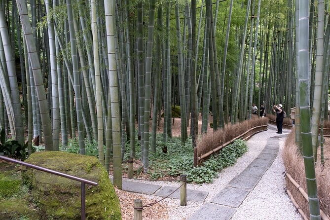 Private Tour in Kamakura: Matcha Tea Tasting & Photo Session - Start at JR Kamakura Station: easy meeting, bus transfers, and time control