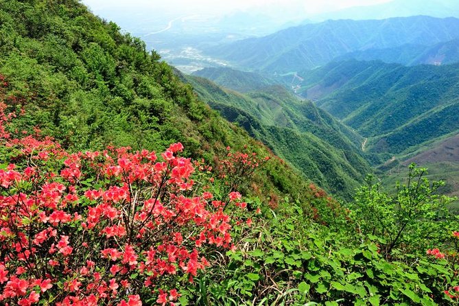 Private Tour: Yao Mountain and Tea Plantation from Guilin - The chairlift ride: quick, comfortable, and built for views