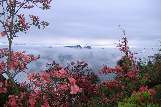 Private Tour: Yao Mountain and Tea Plantation from Guilin - From mountain air to a Ming-dynasty tea garden