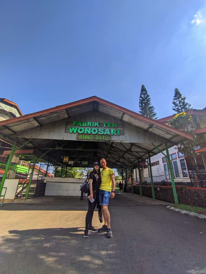 Private Trip Malang/Surabaya : Tour Tea Plantation Wonosari - Tea picking in the Wonosari gardens: what you’ll actually do