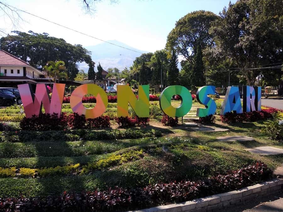 Private Trip Malang/Surabaya : Tour Tea Plantation Wonosari - Tea ceremony and tasting: why the finish is worth it