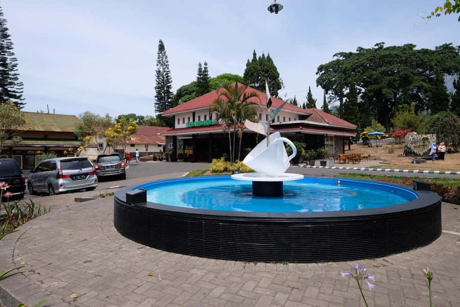 Private Trip Malang/Surabaya : Tour Tea Plantation Wonosari - Facilities and rides at the integrated tourist area