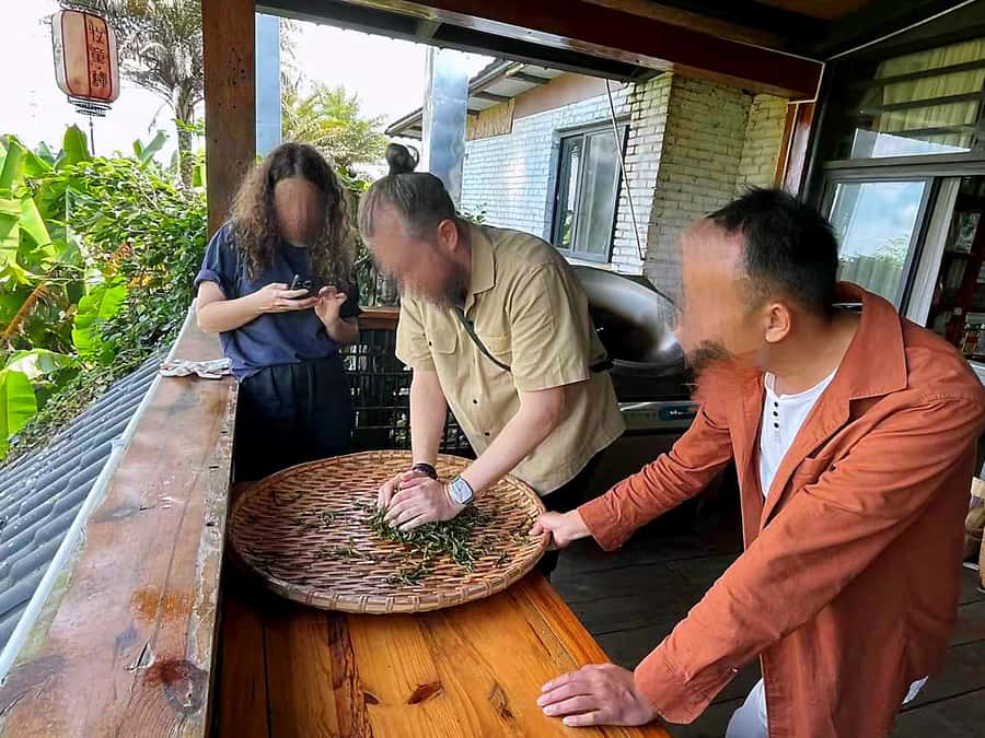 Puer Tea Picking and Tasting | 6 Hour Morning Trip - On the Plantation Walk: Seeing What Makes Pu’er Different
