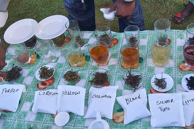 Purple Tea Farm Tour from Nairobi City - Specialty Tea Tasting - Three-Course Lunch and Specialty Tea Tasting