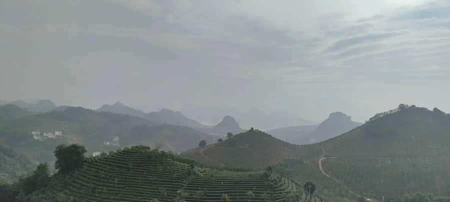 Qixianfeng Tea Plantation Tour in Yangshuo - Quick hits for the Qixianfeng Tea Plantation tour