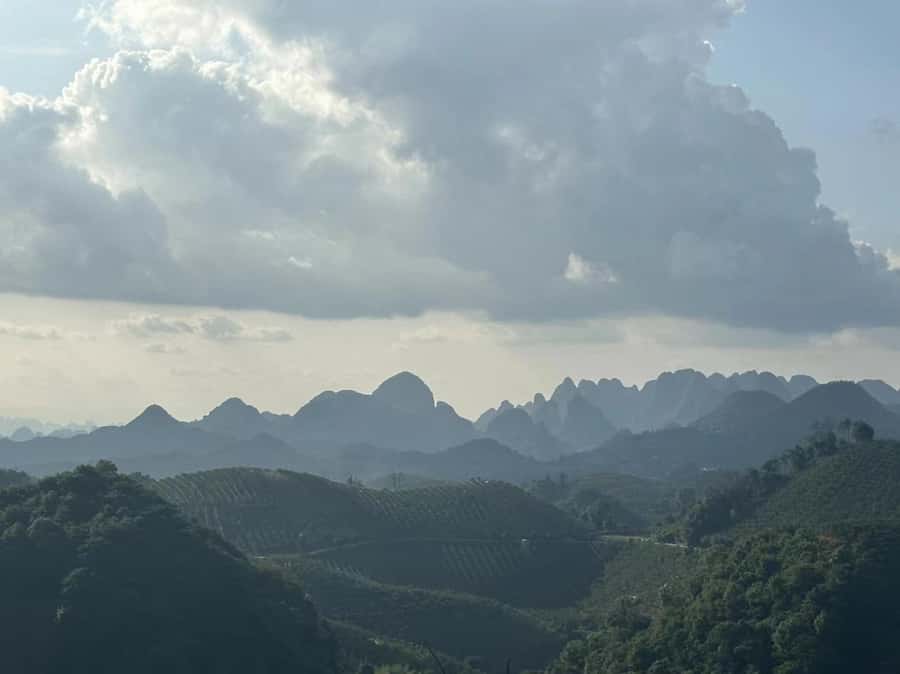 Qixianfeng Tea Plantation Tour in Yangshuo - Who this tour suits best (and who should skip it)