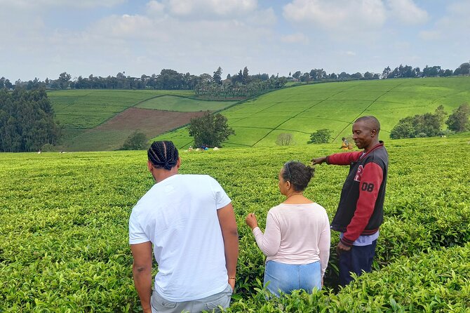 Riara tea farm tour with lunch and tea tasting from Nairobi - Quick highlights from the Riara tea farm day