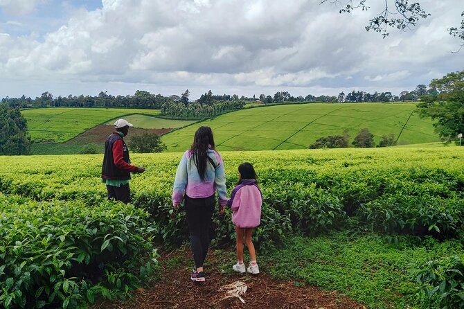 Riara tea farm tour with lunch and tea tasting from Nairobi - Tea tasting ceremony: how to taste without overthinking it