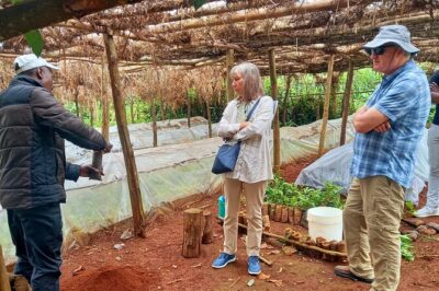 Riara tea farm tour with lunch and tea tasting from Nairobi - Entering the Riara tea farm in Limuru: what the manager tour covers