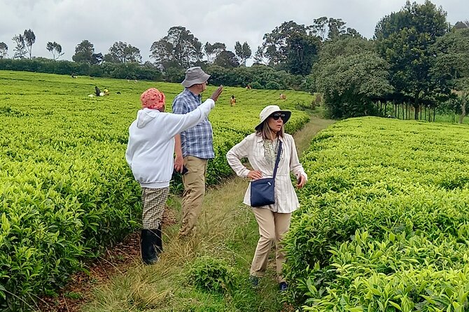 Riara tea farm tour with lunch and tea tasting from Nairobi - Lunch on the farm: barbecue plus real dietary options