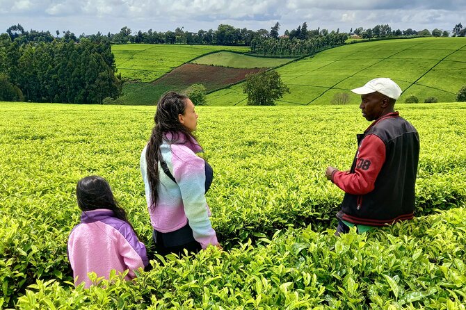 Riara tea farm tour with lunch and tea tasting from Nairobi - Bringing tea home: the optional purchase moment