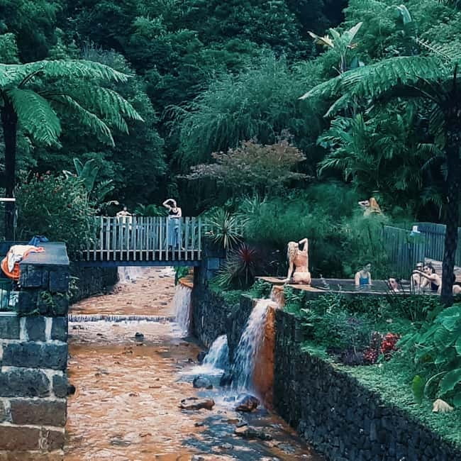 São Miguel: Furnas Volcano & Tea Plantation Tour with Lunch - Key highlights you’ll actually care about