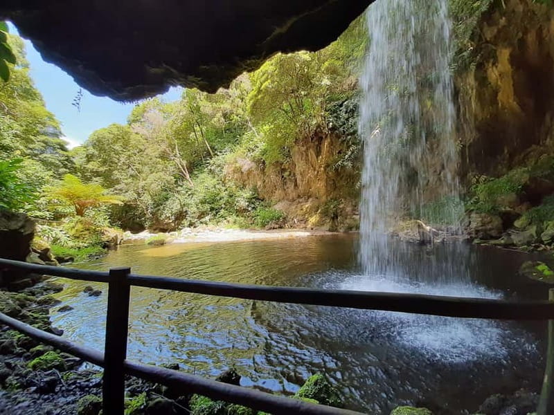 São Miguel: Moinho do Felix Hike with Tea Factory Visit - Key Highlights You’ll Actually Care About