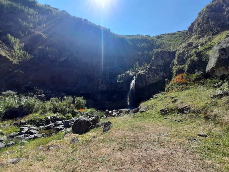 São Miguel: Moinho do Felix Hike with Tea Factory Visit - Pickup, Group Size, and How Smooth This Day Feels