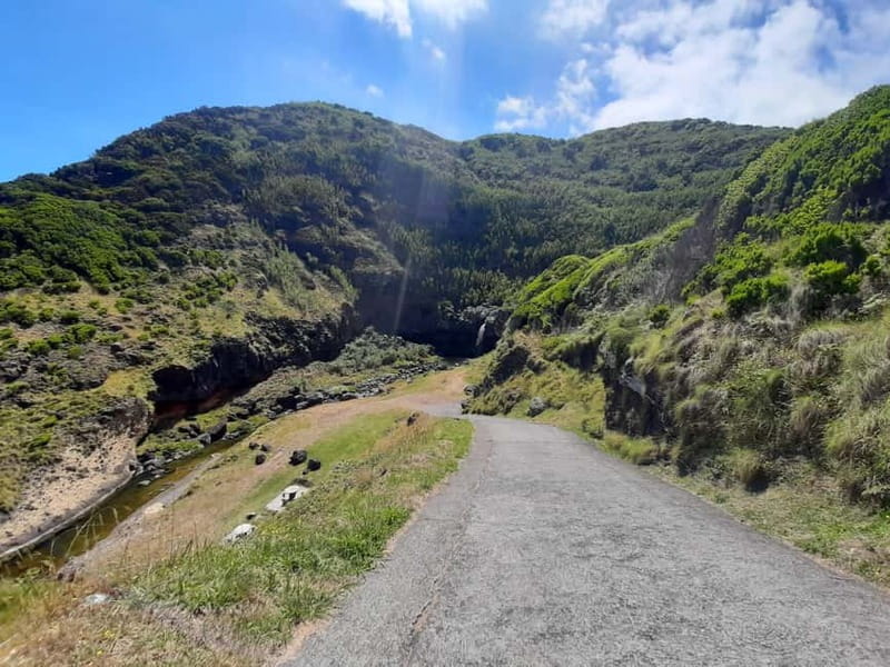 São Miguel: Moinho do Felix Hike with Tea Factory Visit - Should You Book This São Miguel Experience?