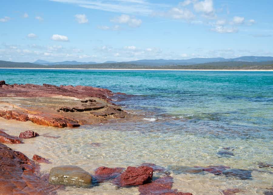 Sapphire Coast: 7h Shore Excursion with Aussie Morning Tea - Timing and Getting Back to Your Ship Without Stress