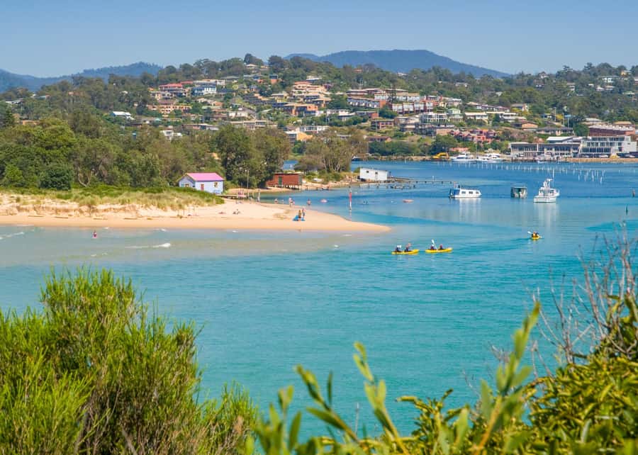 Sapphire Coast: 7h Shore Excursion with Aussie Morning Tea - Who This Tour Suits (and Who Might Want to Skip It)