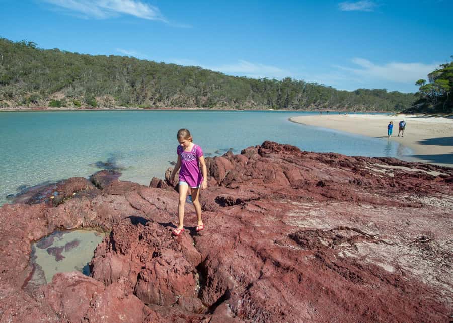 Sapphire Coast: 7h Shore Excursion with Aussie Morning Tea - Price: Is $148 Good Value for What You Get?