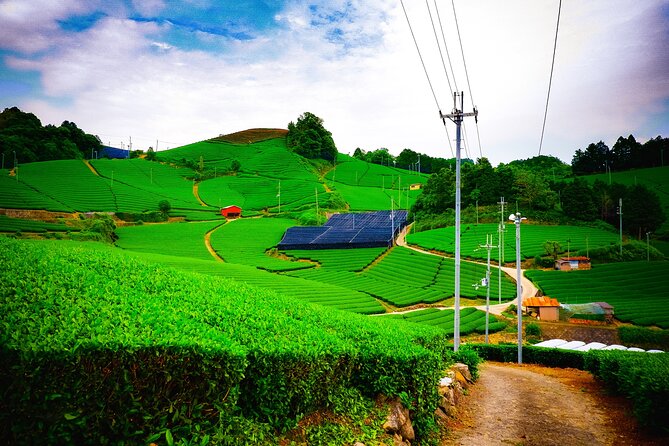 Scenic Green Tea Fields of Hidden Kyoto & Local Tea Exp (Private) - Key highlights worth marking on your Kyoto map