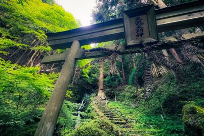 Scenic Green Tea Fields of Hidden Kyoto & Local Tea Exp (Private) - Getting picked up and rolling out: vans, convertibles, and comfy timing