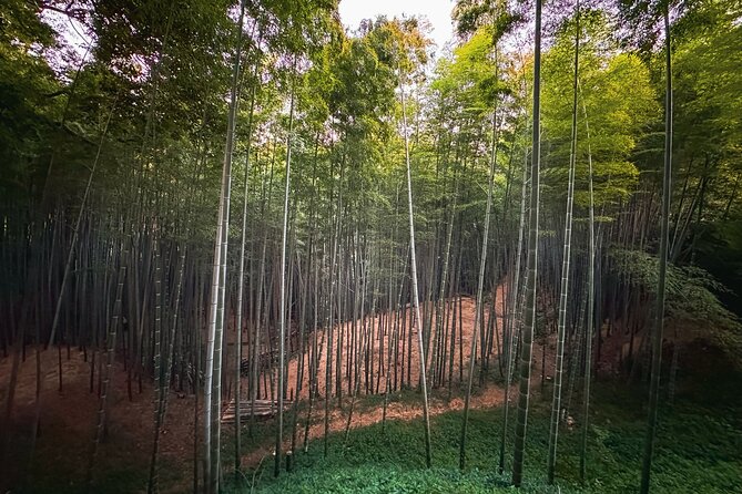 Scenic Green Tea Fields of Hidden Kyoto & Local Tea Exp (Private) - Stop 2: Wazuka-cha Cafe and the matcha difference