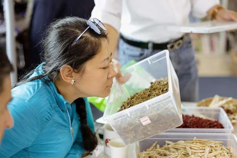 Seoul: herbal tea class & Korean Medicine tour - Price and value: why $51 can make sense