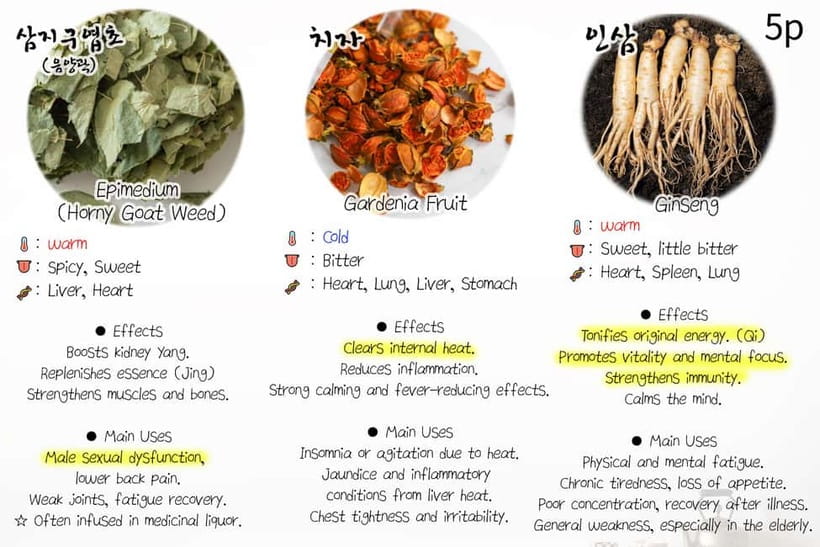 Seoul: Herbal Tea Class & Korean Medicine Tour - Blending your own herbal tea: where the fun becomes practical