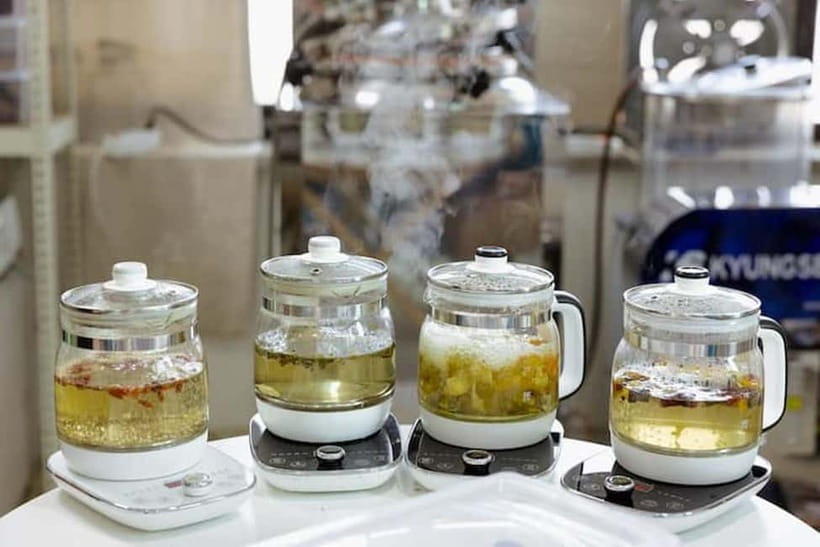 Seoul: Herbal Tea Class & Korean Medicine Tour - The K-medi Center TKM Museum visit (and what to do if English is limited)