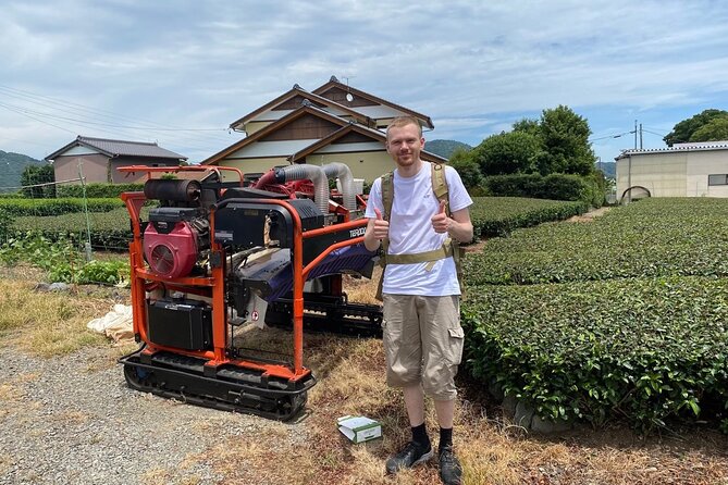 Shizuoka Tea Picking Private Experience - Tea picking in Shizuoka: why this 2-hour plan works