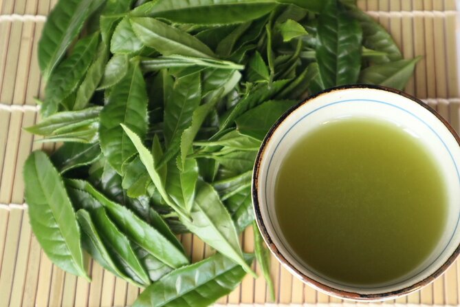Shizuoka Tea Picking Private Experience - The 6 types of tea leaves gift: your take-home flavor lesson