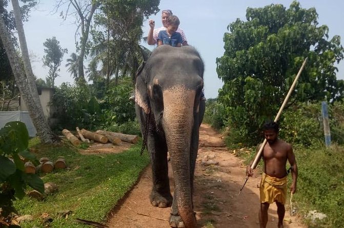 Shore Excursion From Colombo port to Ingiriya Tea Plantation & back for 2 People - Price and Value: Is $135.72 Worth It?