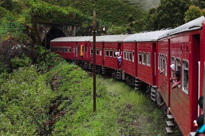 Sigiriya, Kandy to Ella TRain Ride plus Up Country TEA[B&B Basis] - Sinharaja Forest Reserve: UNESCO Nature Time With Tickets Sorted