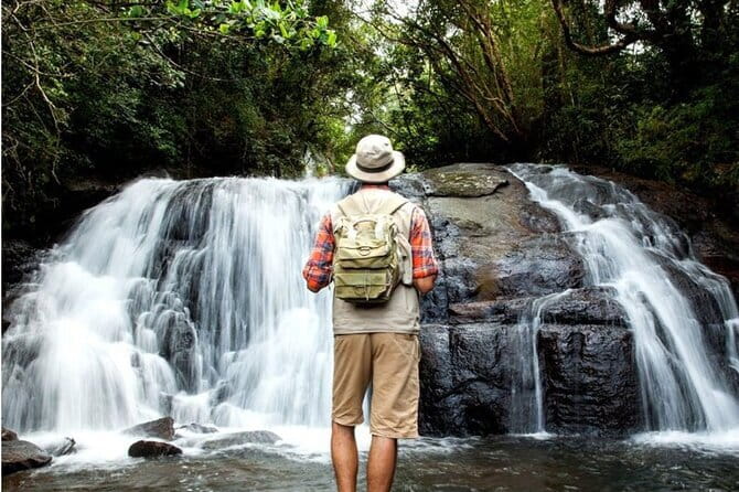 Sinharaja Rain Forest Day Tour from Mirissa, Galle, Bentota Area - Key highlights to notice before you book