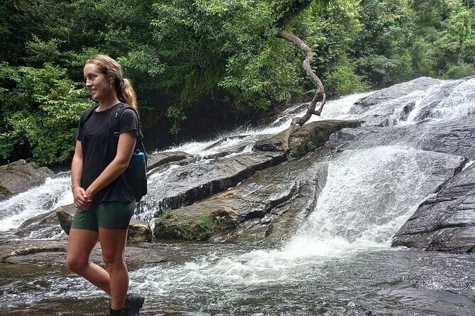 Sinharaja Rain Forest Day Tour from Mirissa, Galle, Bentota Area - Pickup and timing: how the ride affects your day