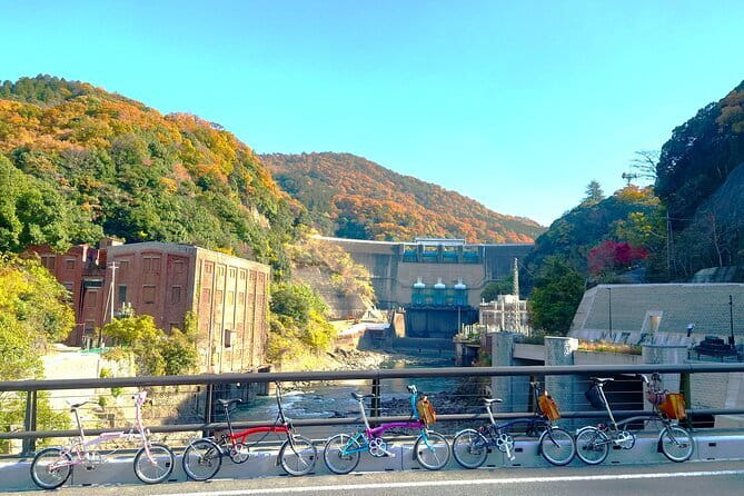 Slow Cycling Tour at Uji's Matcha Green Tea Fields and Heritage - Tea and Chazuna: Your Matcha Primer Before the Shrines