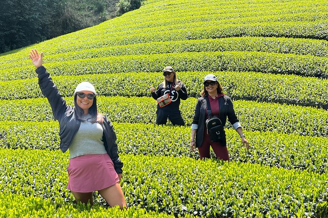 Small Group Japanese Green Tea Tasting in Shizuoka - Quick hits: what makes this Shizuoka tea day special