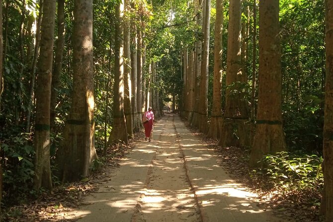 Srimangal nature tour in forest and tea garden - The 9-Hour Flow: What You’ll Do From Start to Finish