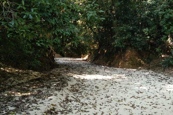 Srimangal nature tour in forest and tea garden - Seven-Color Tea: Why This Is More Than a Photo Stop