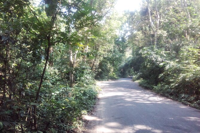 Srimangal nature tour in forest and tea garden - What’s Included vs. What You’ll Need to Handle