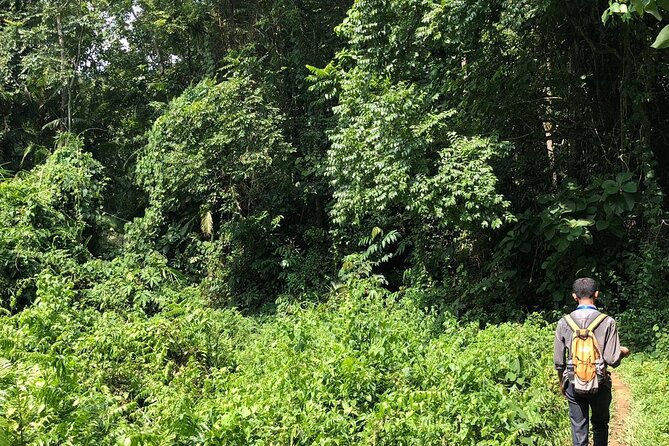 Srimangal nature tour in forest and tea garden - Value for Money: Is $50 a Fair Deal for This Kind of Day?