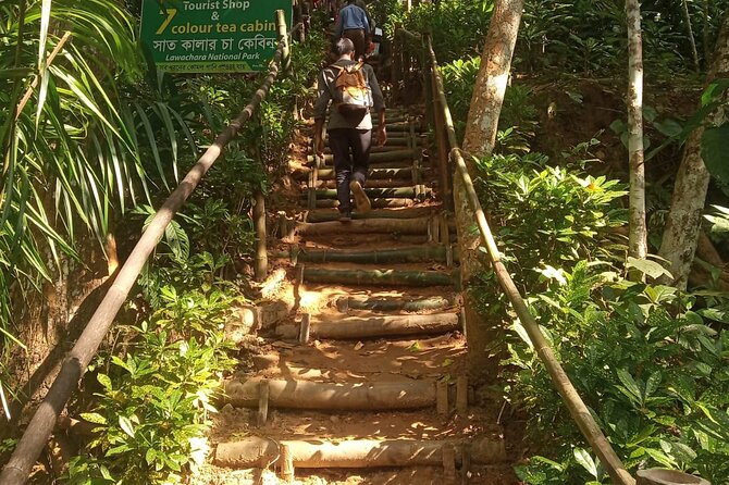 Srimangal nature tour in forest and tea garden - Heat, Pace, and Comfort: Plan Like a Real Walker