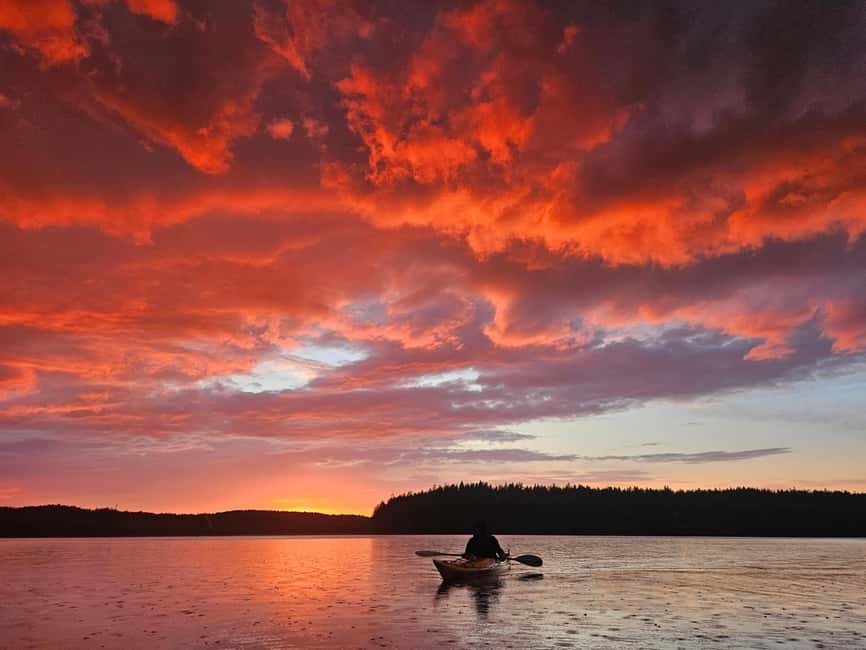 Stockholm: Sunset Kayak Tour on Lake Mälaren with Tea & Cake - The Safety Briefing That Makes Beginners Relax