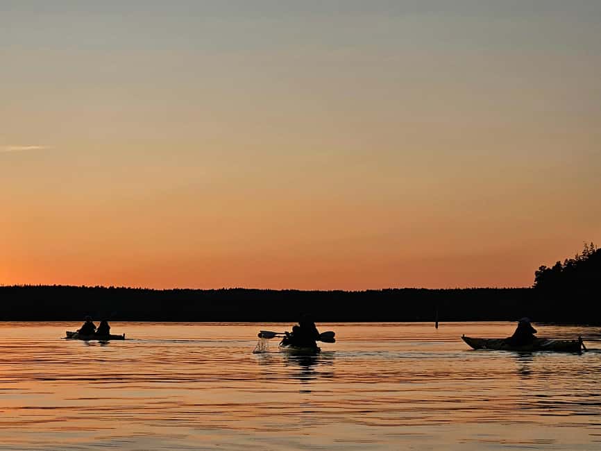 Stockholm: Sunset Kayak Tour on Lake Mälaren with Tea & Cake - Second Paddle + Sunset Timing: When Twilight Changes the Lake
