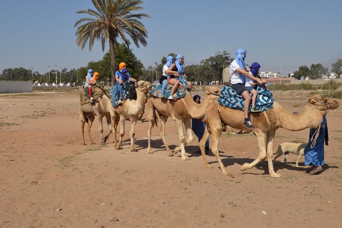 Sunset camel ride in Agadir with transport, tea and cakes. - Key things to know before you go