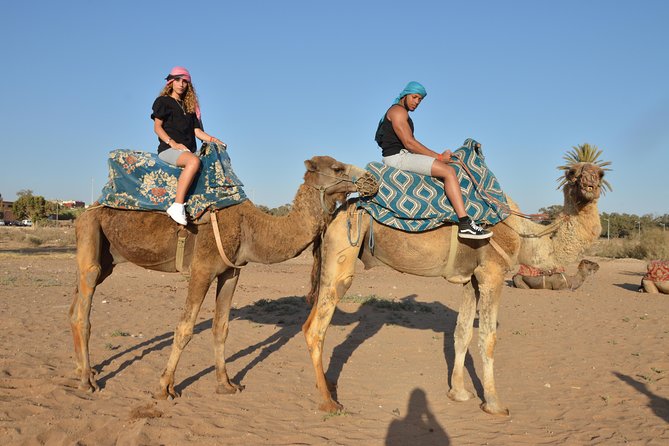 Sunset camel ride in Agadir with transport, tea and cakes. - Hotel pickup and transport: easy starts matter