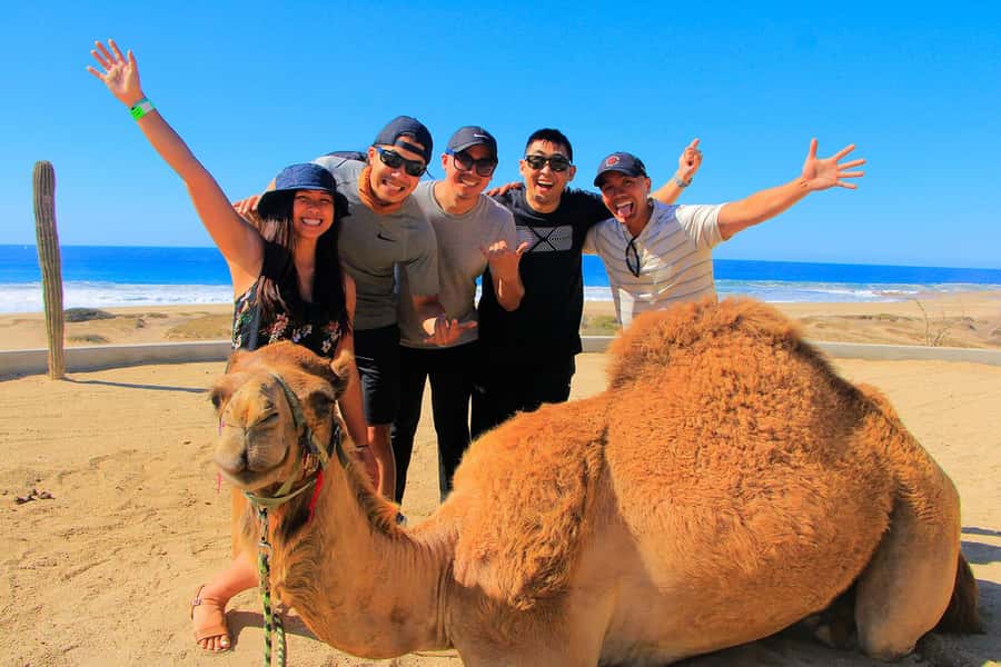 Tangier: sunset, tea, camel ride, Cape Spartel and caves. - Photo ops that work at Tangier sunset (and how to use the time)