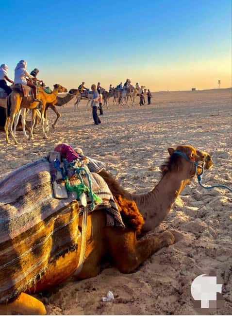 Tangier: Sunset tour with tea, camel ride & Cap Spartel - Hotel pickup and AC transport: Why this part is quietly valuable